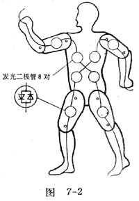 中学物理实验：人体模型的制作