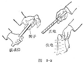 中学生物理小常识：电的性别