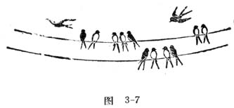 中学生物理小常识：高压线上的鸟儿为什么电不死？