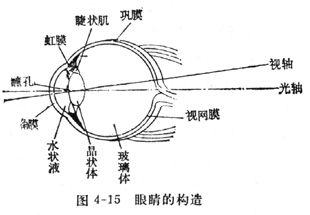 中学生物理小常识：眼睛的光学模型