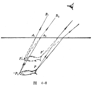 中学生物理小常识：鱼在水中的视位置