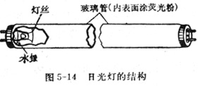 中学生物理小常识：低压水银荧光灯（日光灯）