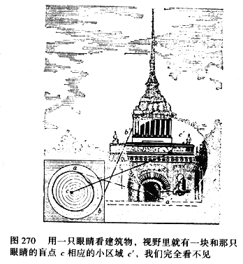 中学生物理小常识：我们眼睛里的盲点