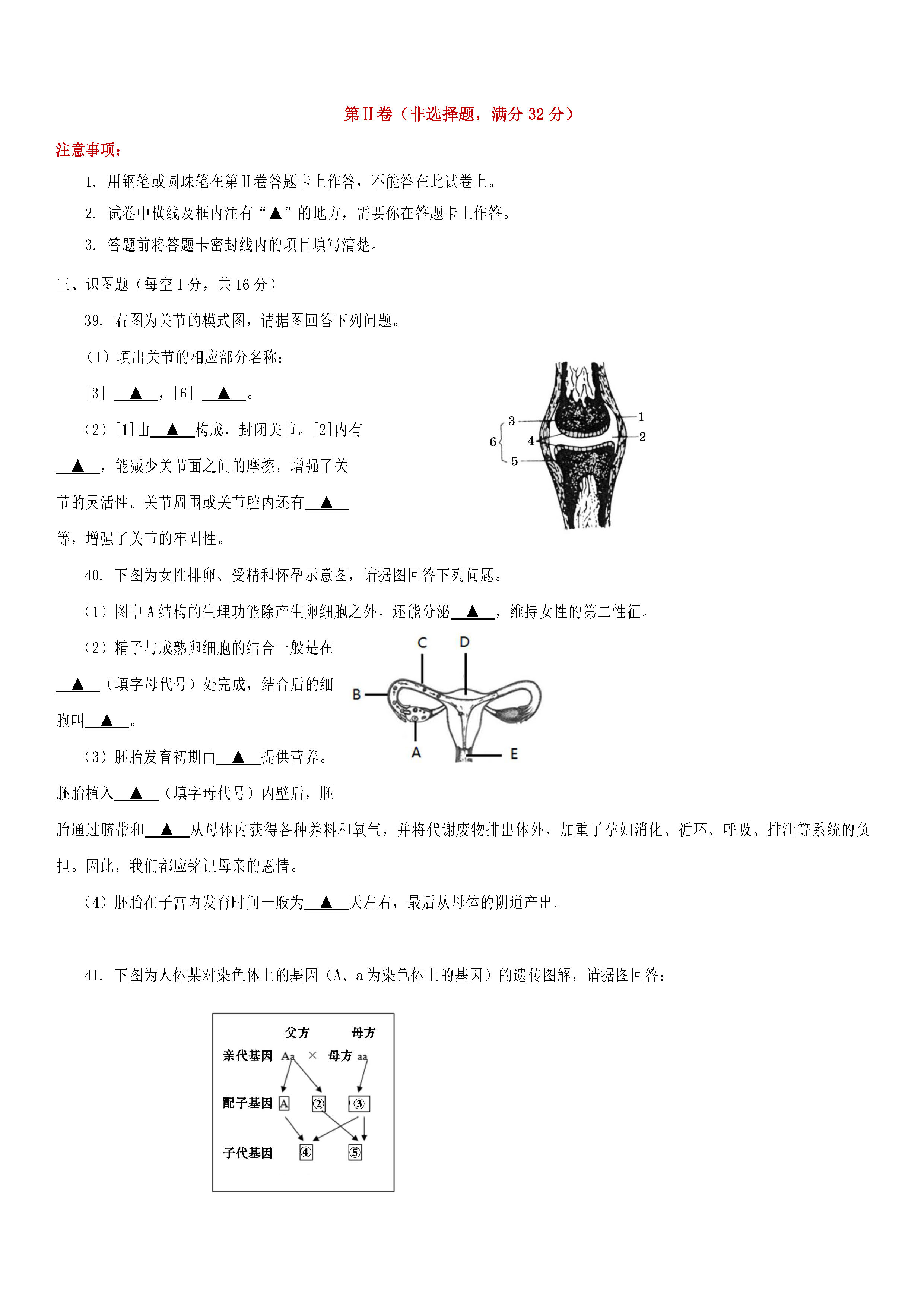 四川遂宁城区2018-2019八年级生物上册期末测试题含答案