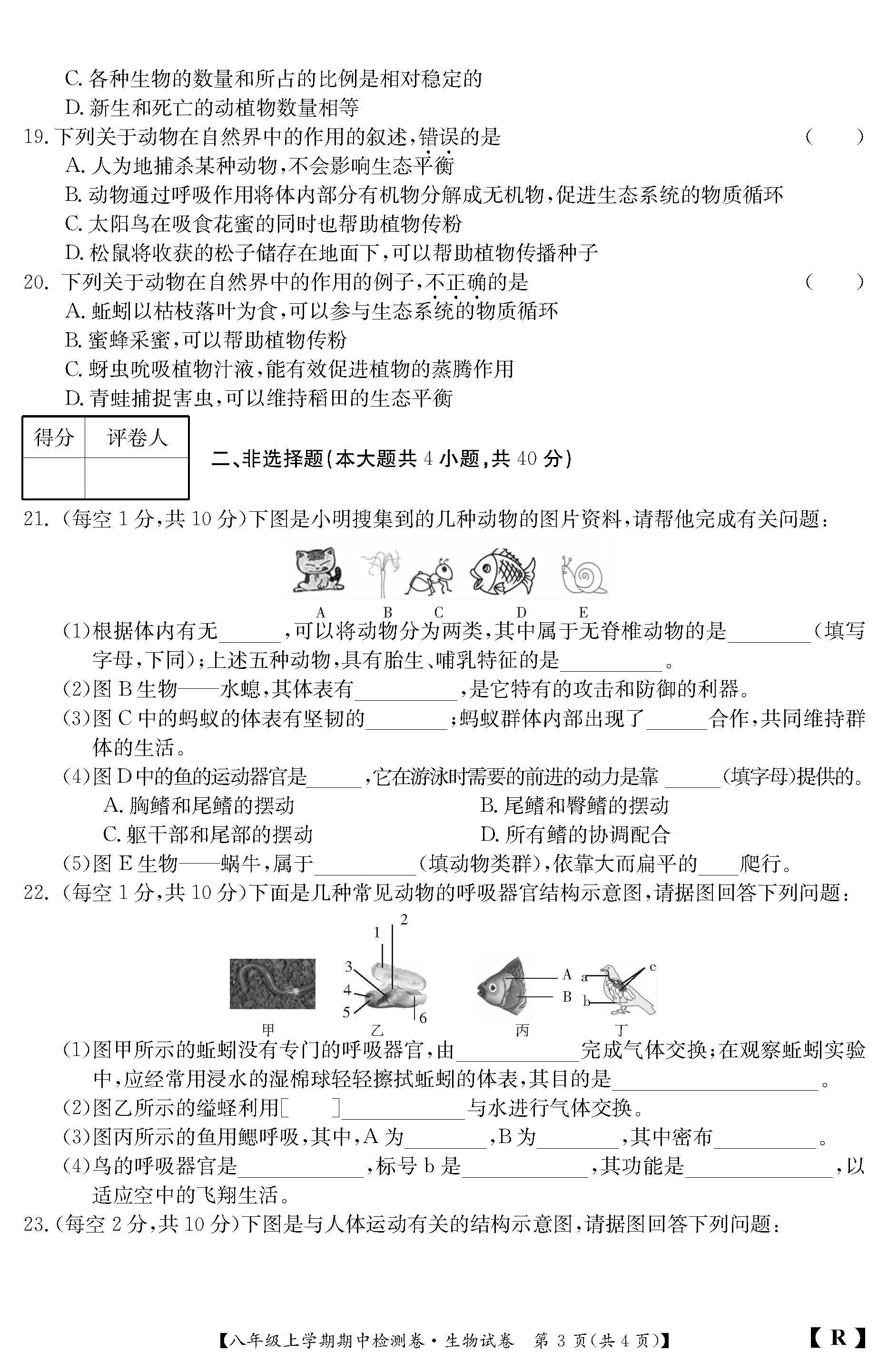 2019-2020山西省阳泉市八年级生物上册期中试题含答案