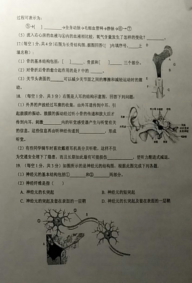 2019-2020江苏连云港开发区八年级生物上册期中试题无答案（图片版）