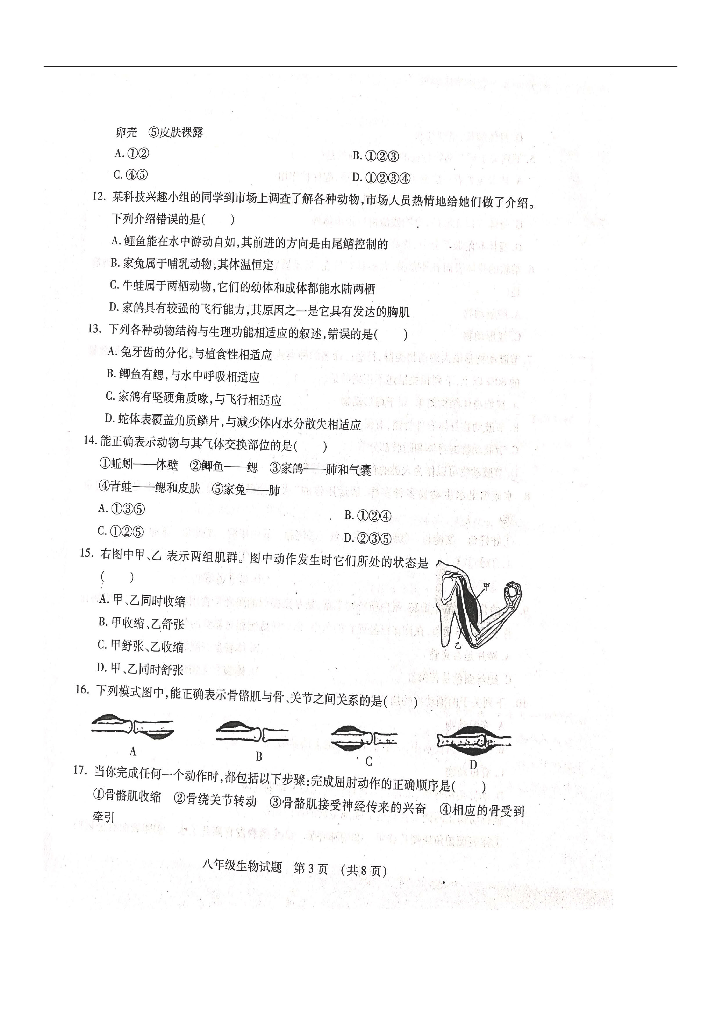 2019-2020山东临沂市河东区八年级生物上册期中试题无答案