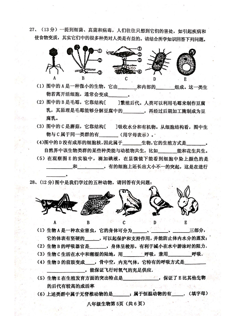 山西晋中市平遥县2019-2020八年级生物上册期中试题含答案