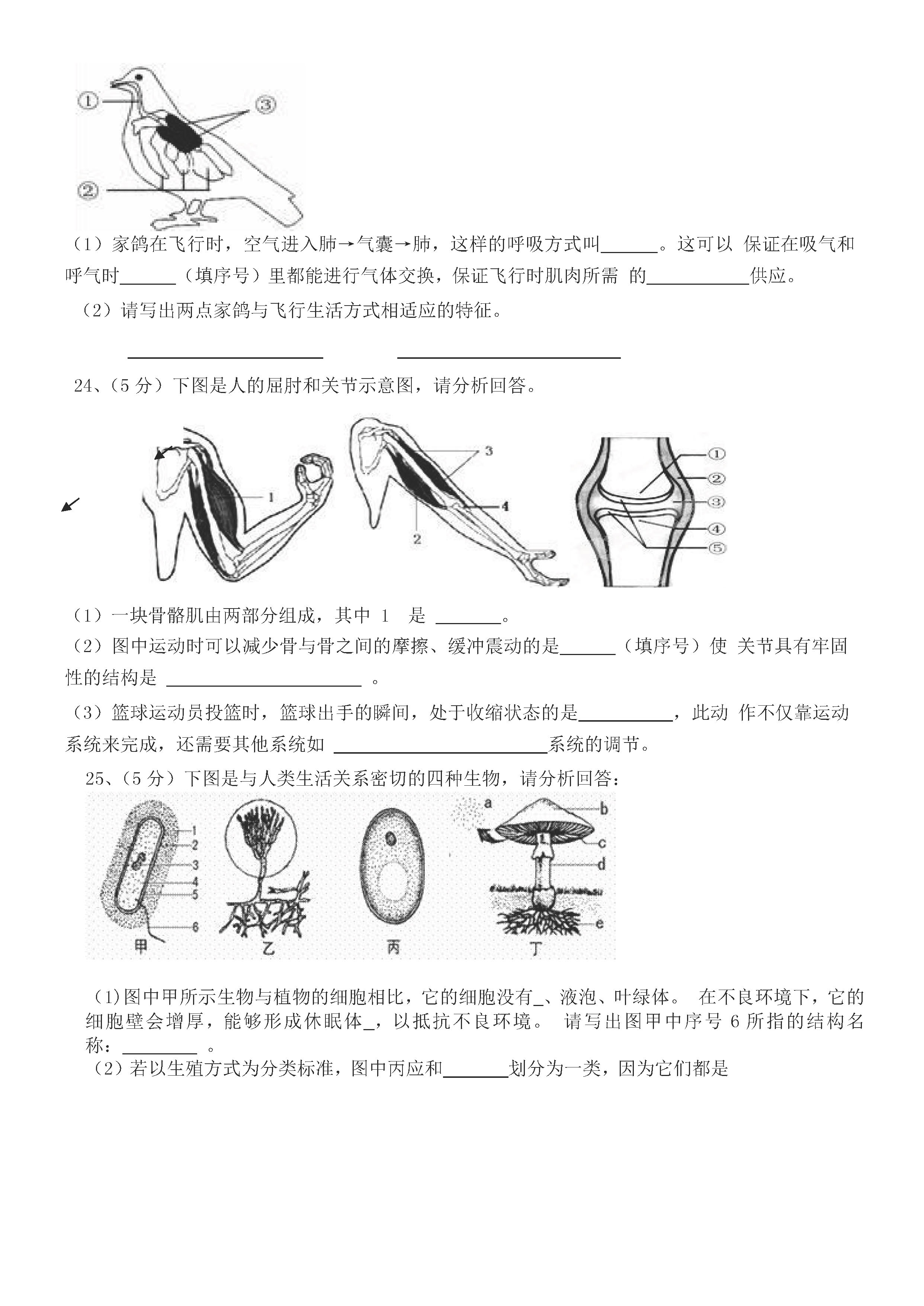 2019-2020湖南省岳阳市八年级生物上册期中试题含答案