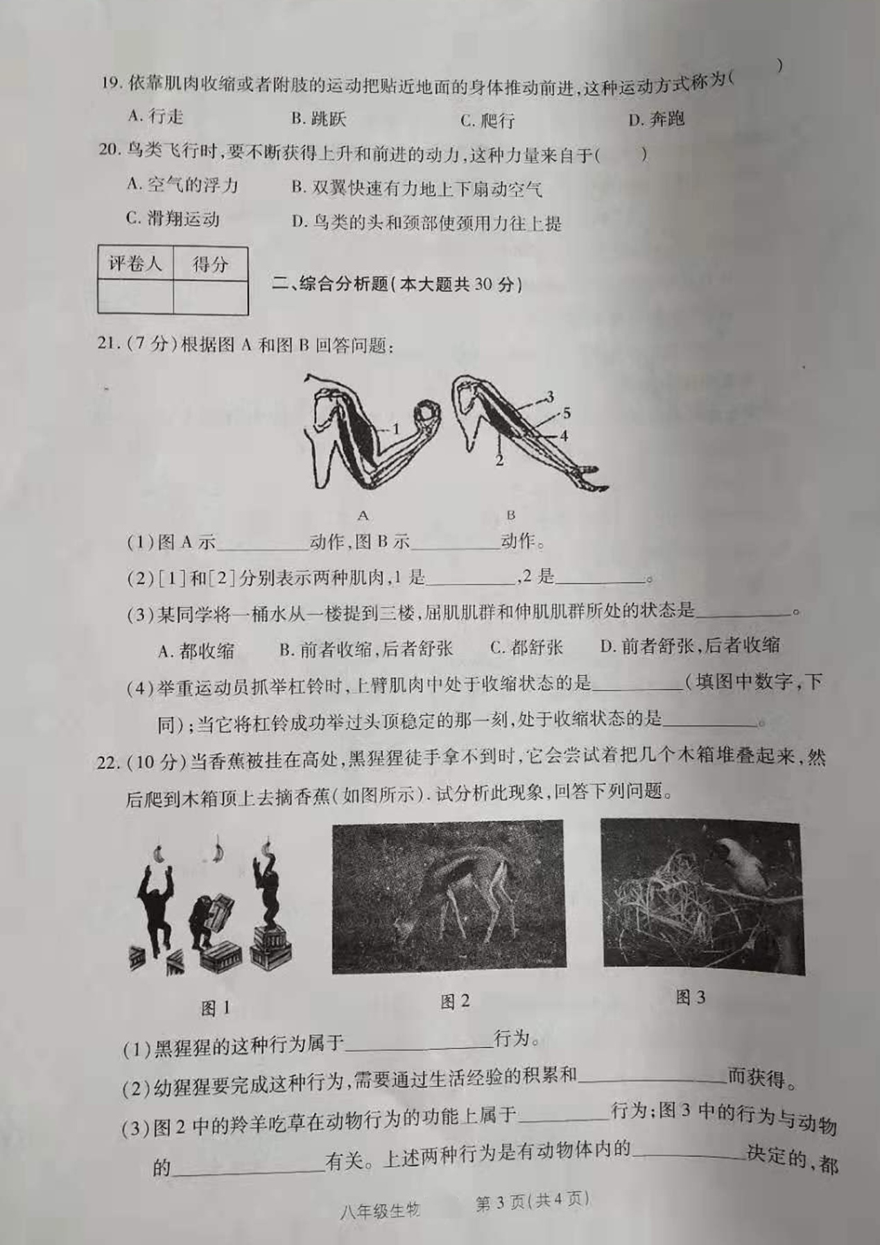 2019-2020河南省商丘市八年级生物上册期中试题含答案（图片版）