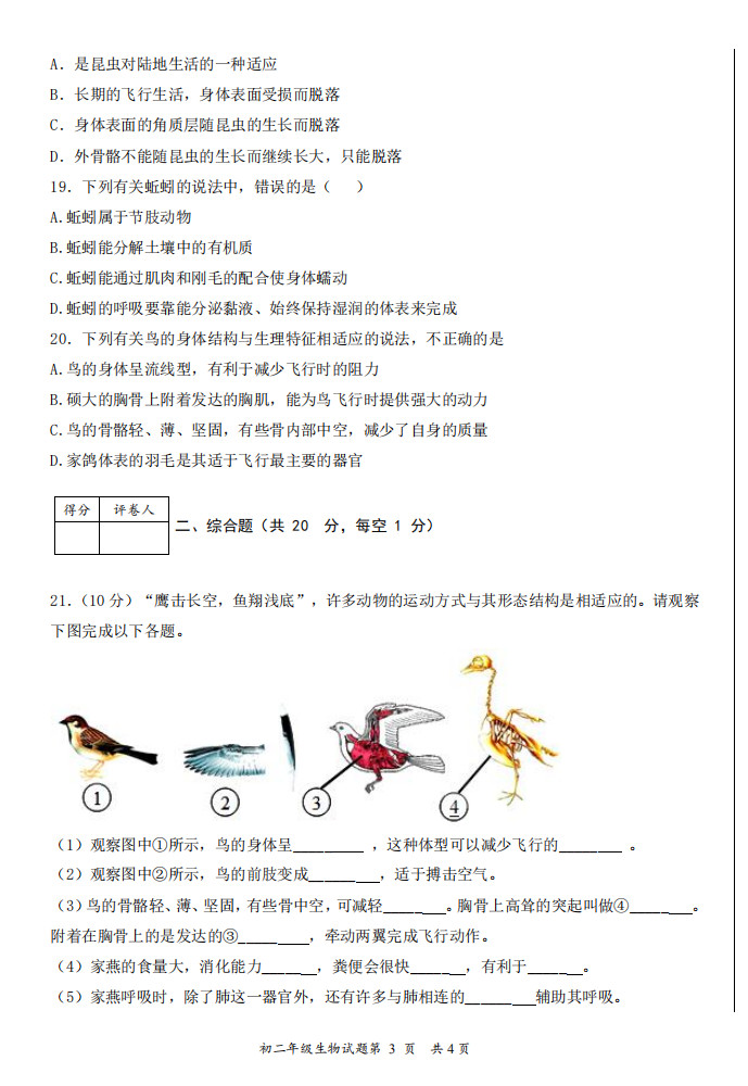 2019-2020四川省遂宁市射洪县八年级生物上册期中试题无答案