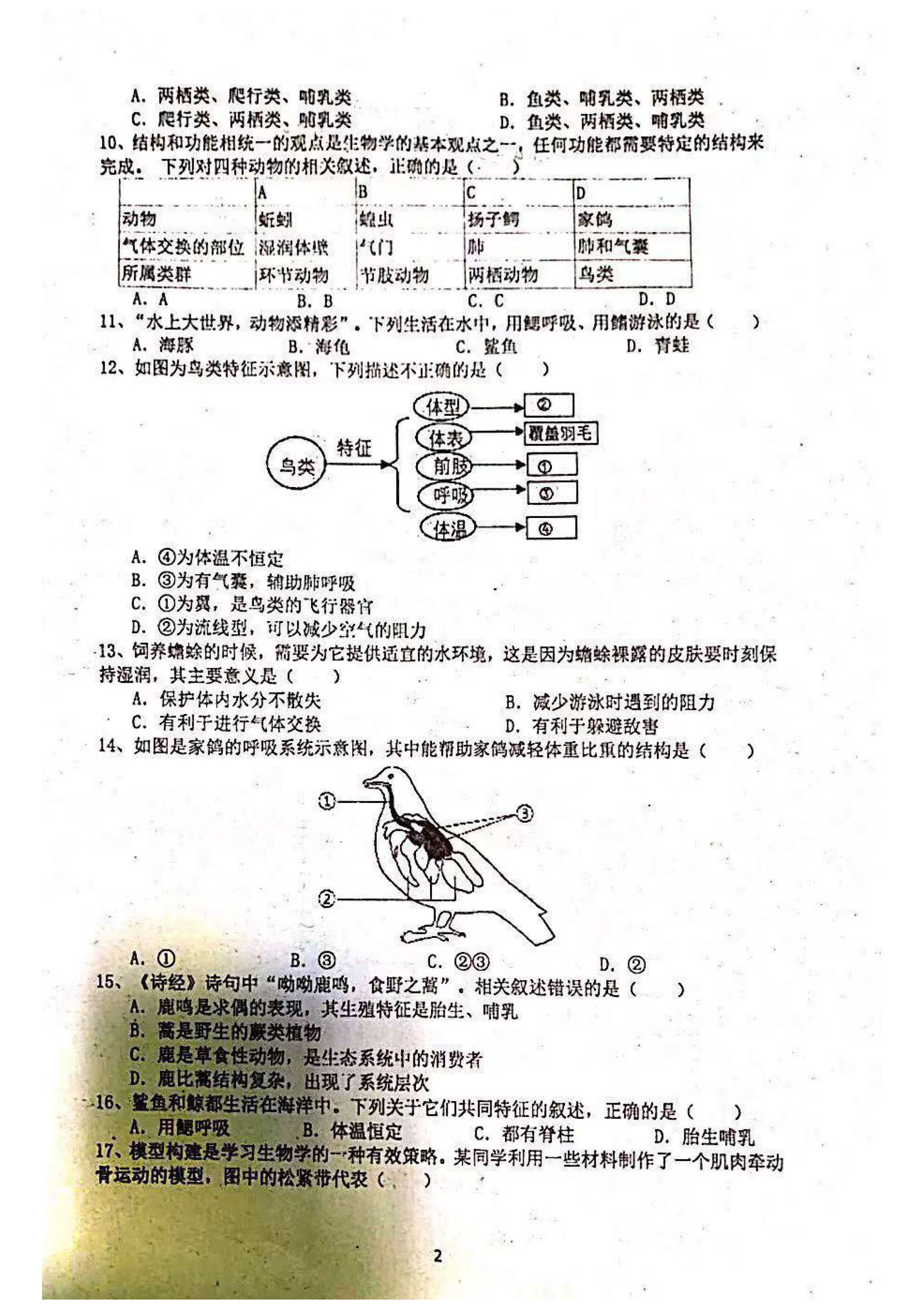 2019-2020广东深圳宝安中学八年级生物上册期中试题无答案