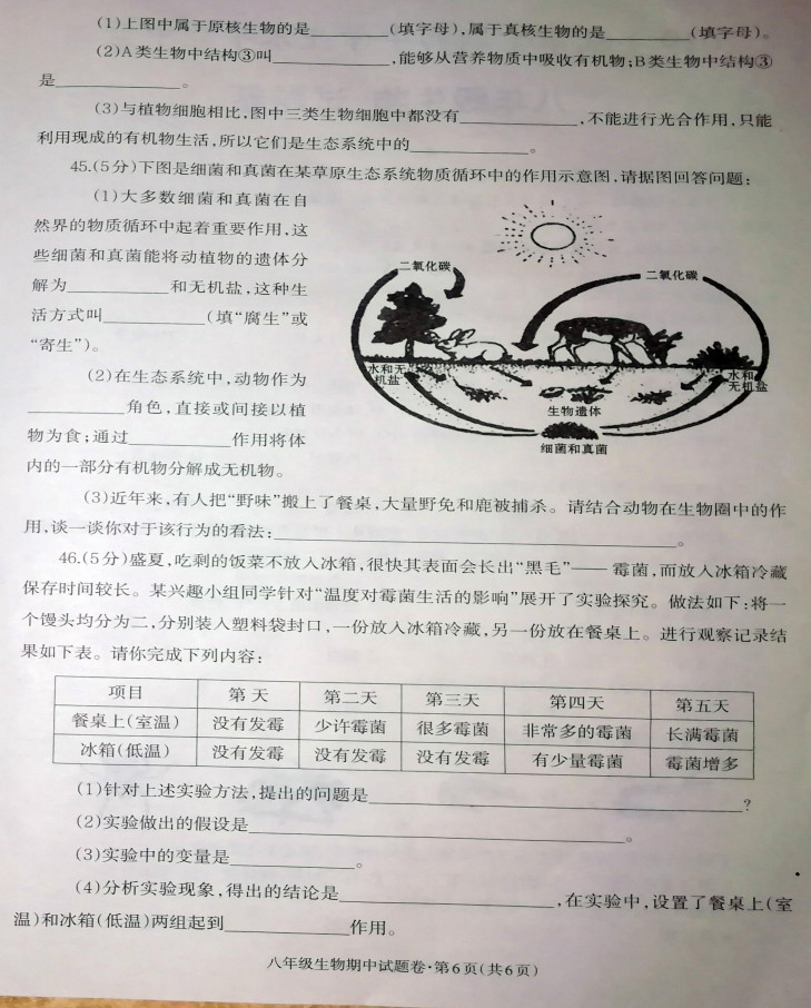 2019-2020云南省昭通市八年级生物上册期中试题含答案（图片版）