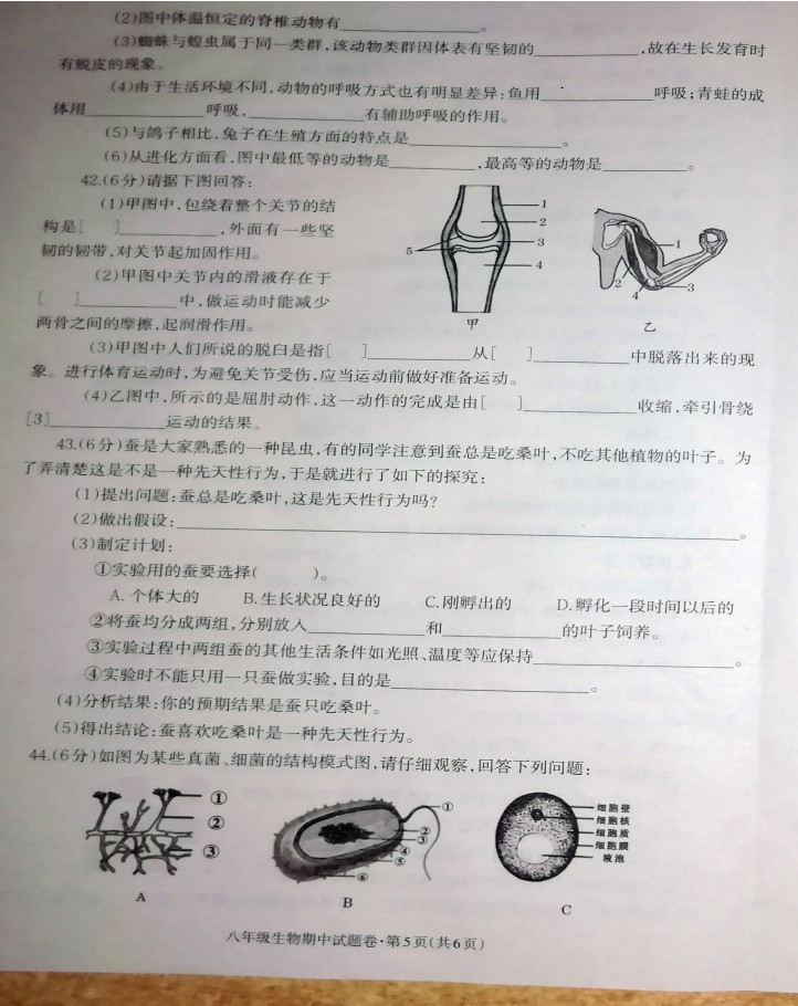 2019-2020云南省昭通市八年级生物上册期中试题含答案（图片版）