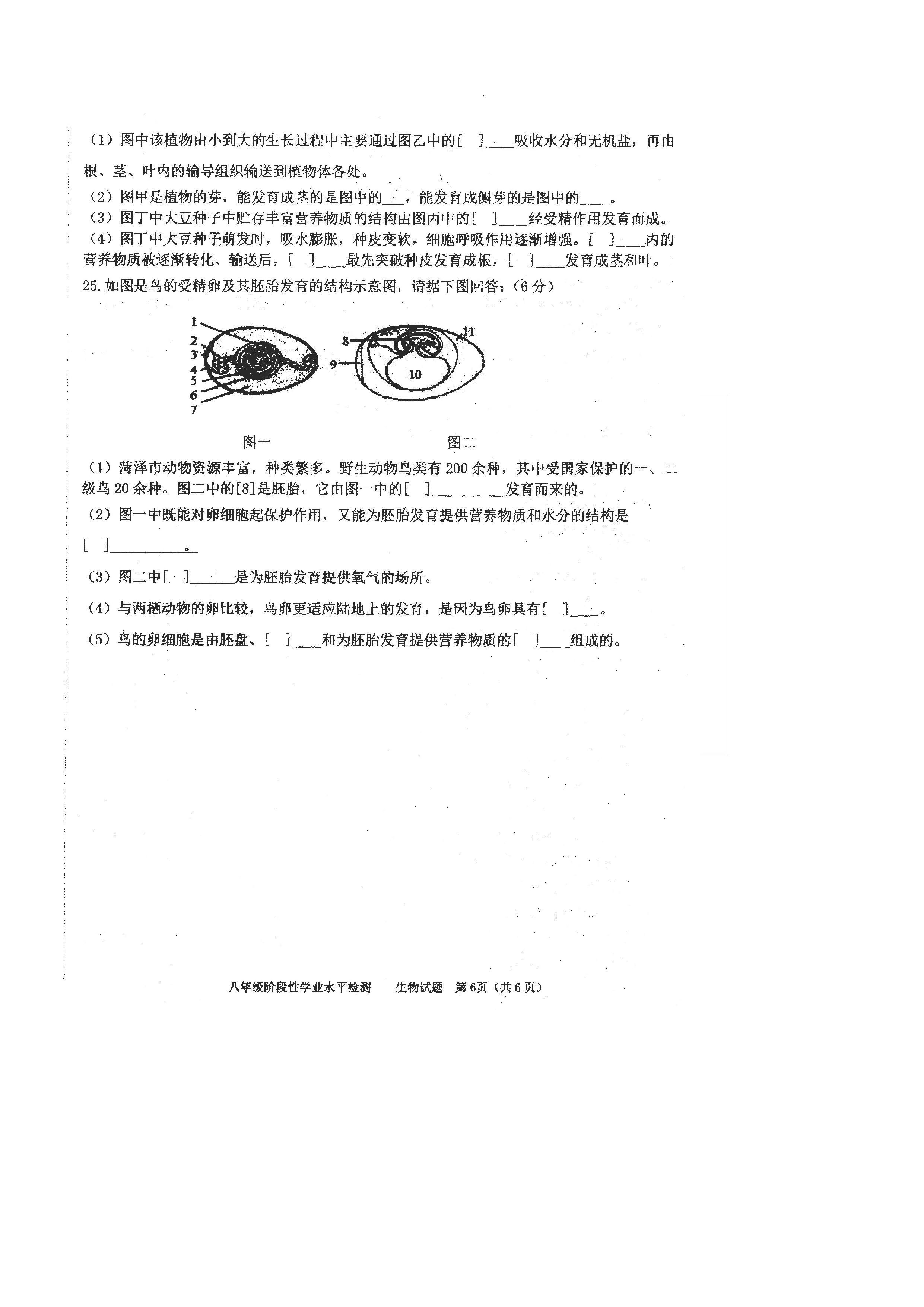 2019-2020山东省菏泽市八年级生物上册期中试题无答案（图片版）