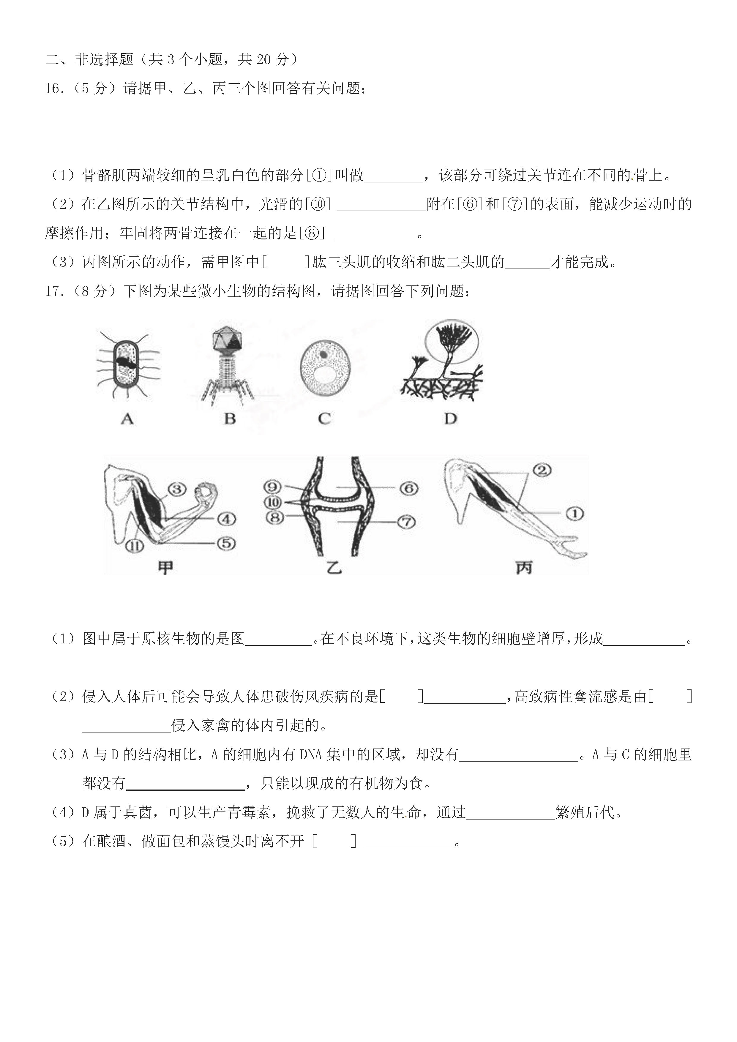 2019-2020内蒙古锡林浩特市八年级生物上册期中试题含答案