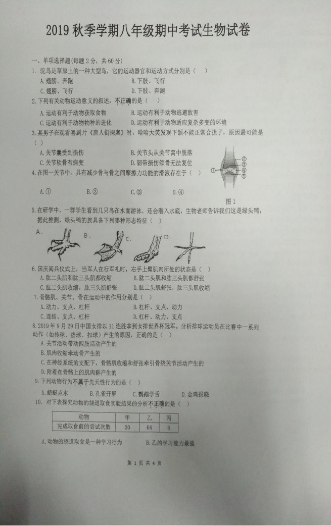 2019-2020广东惠州五中八年级生物上册期中试题无答案（图片版）