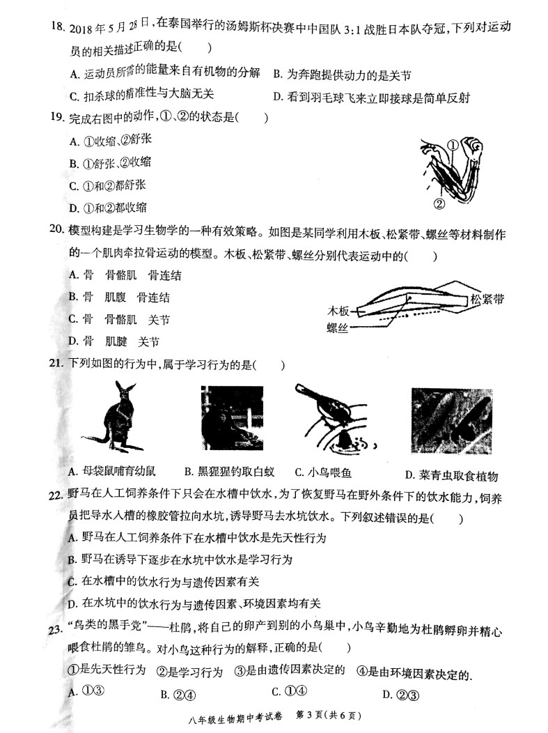 2019-2020广东省高州市八年级生物上册期中试题含答案