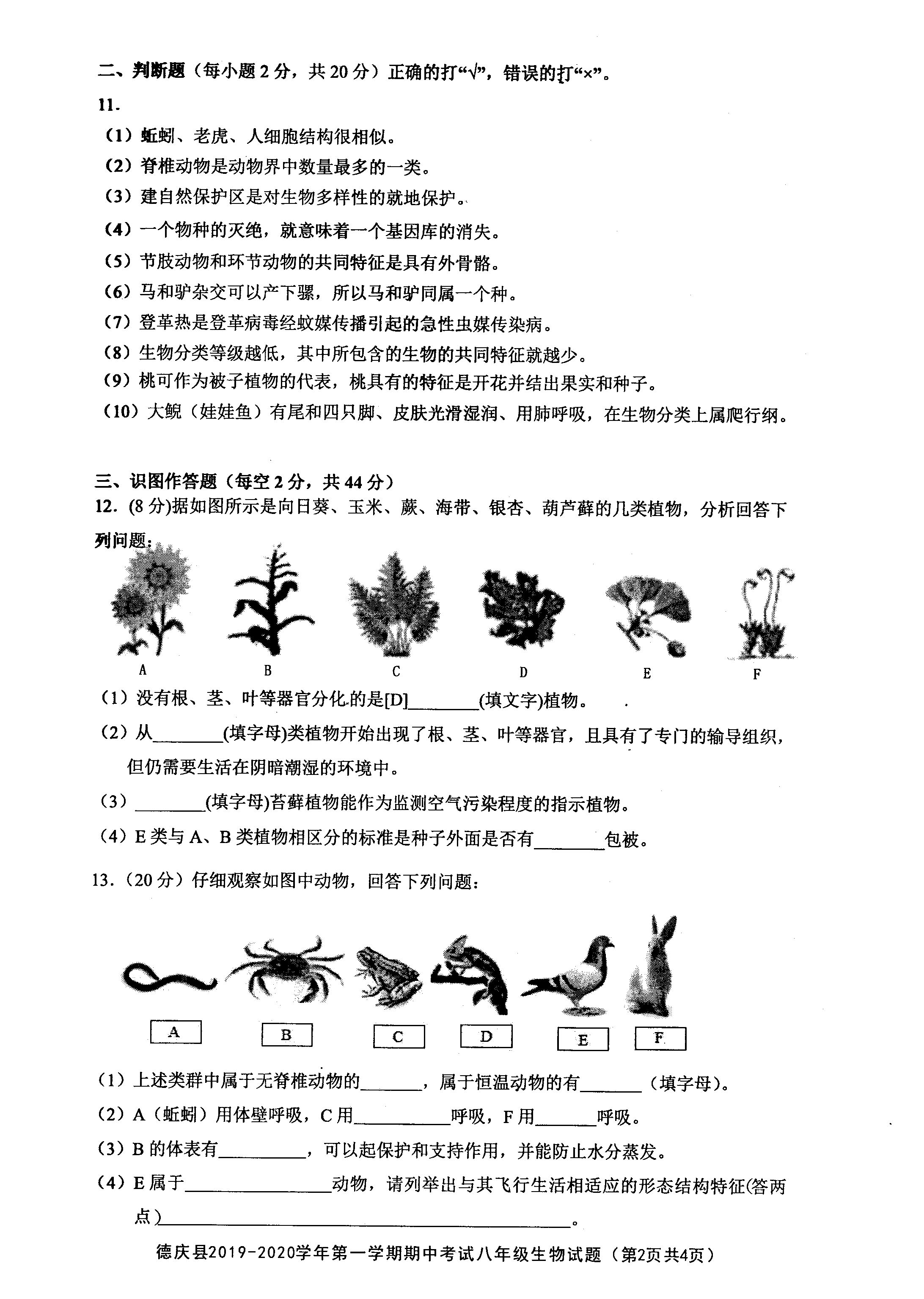 2019-2020广东省肇庆市八年级生物上册期中试题含答案