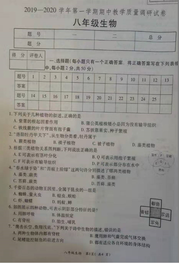 2019-2020河南省洛阳市八年级生物上册期中试题含答案（图片版）