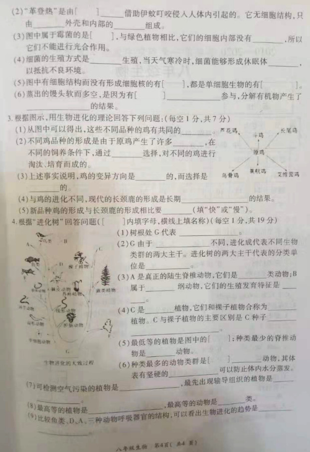 2019-2020河南洛阳孟津县八年级生物上册期中试题含答案（图片版）