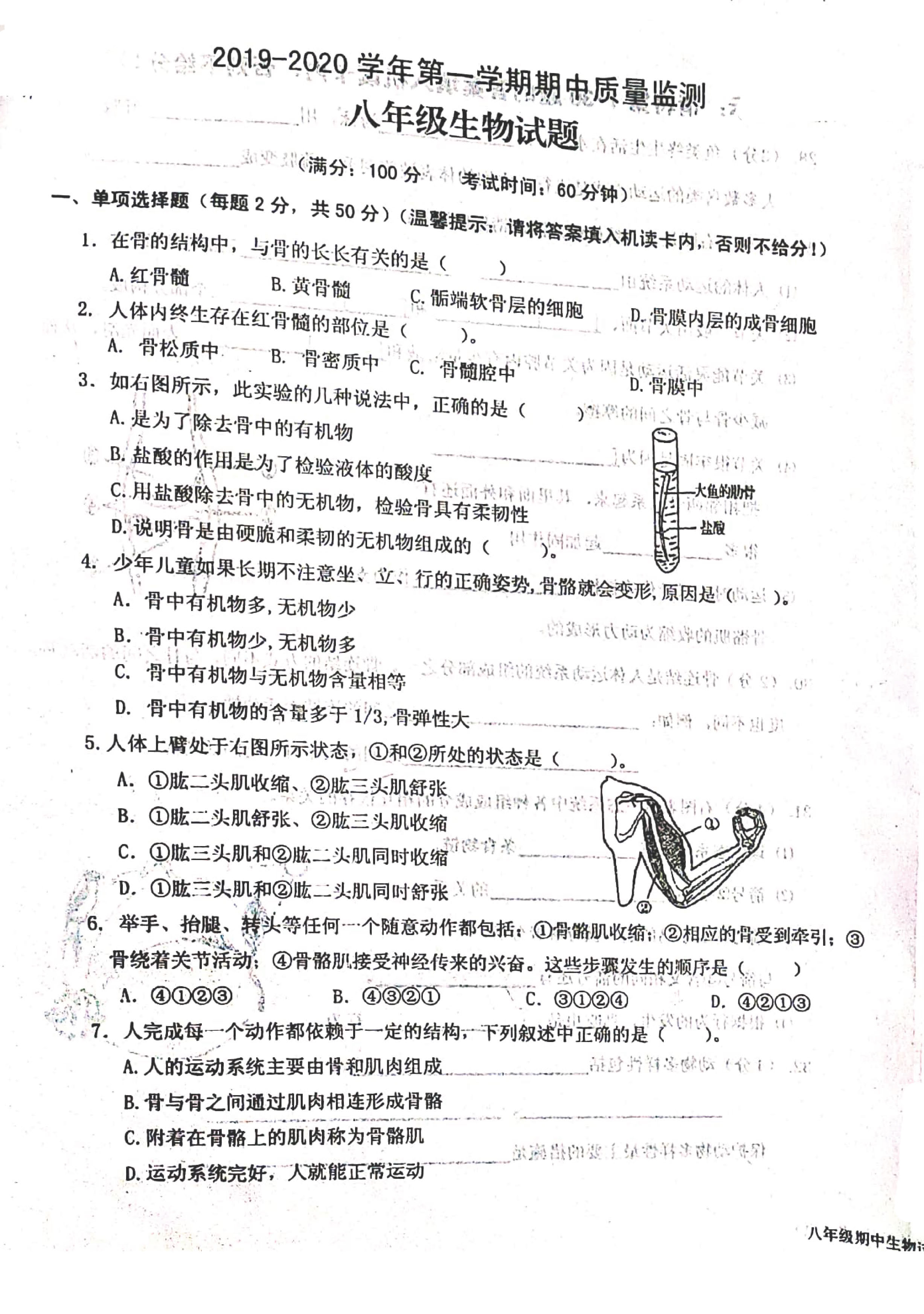 2019-2020福建省龙岩市八年级生物上册期中试题无答案