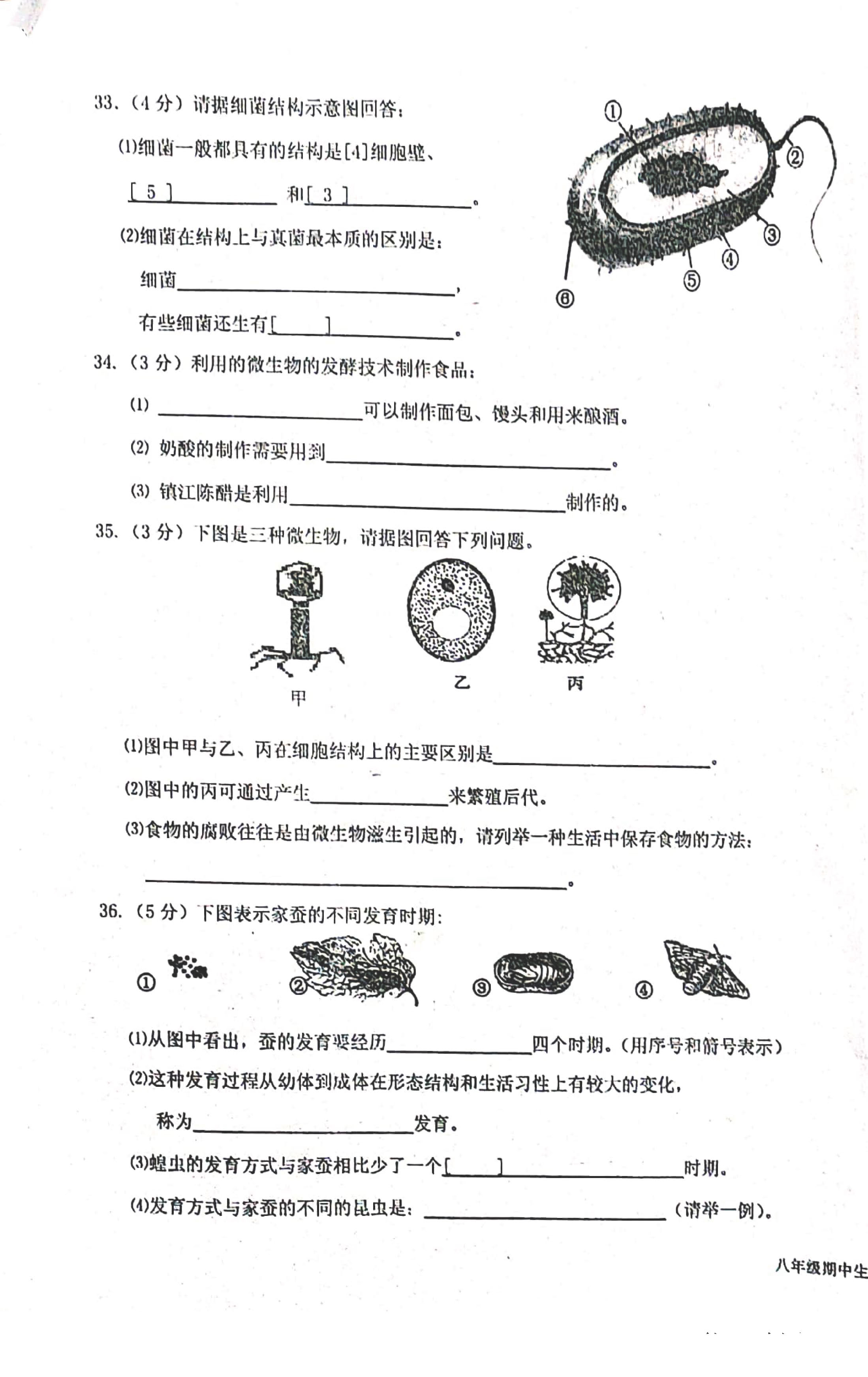 2019-2020福建省龙岩市八年级生物上册期中试题无答案