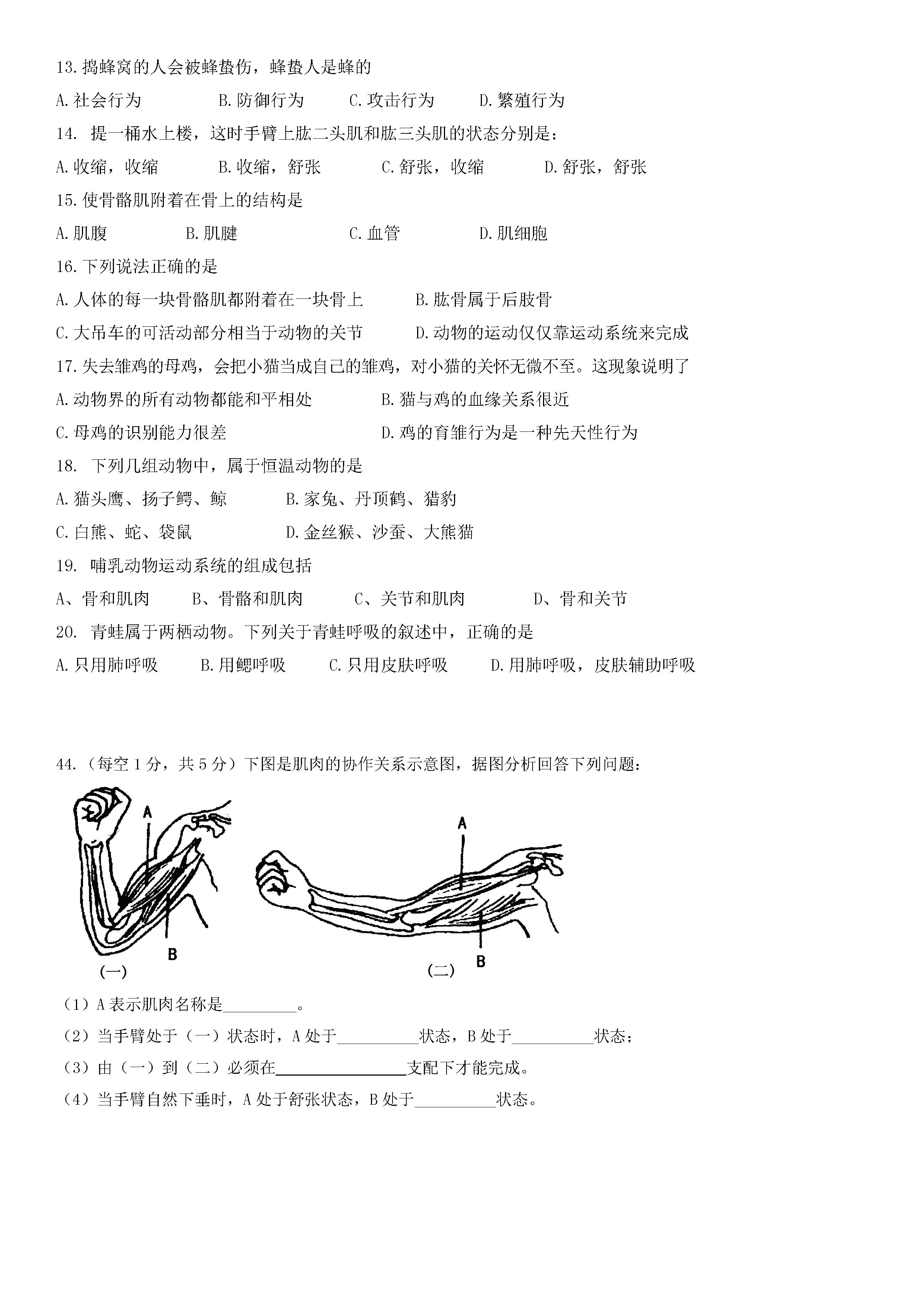 2019-2020湖北省黄石市八年级生物上册期中试题含答案