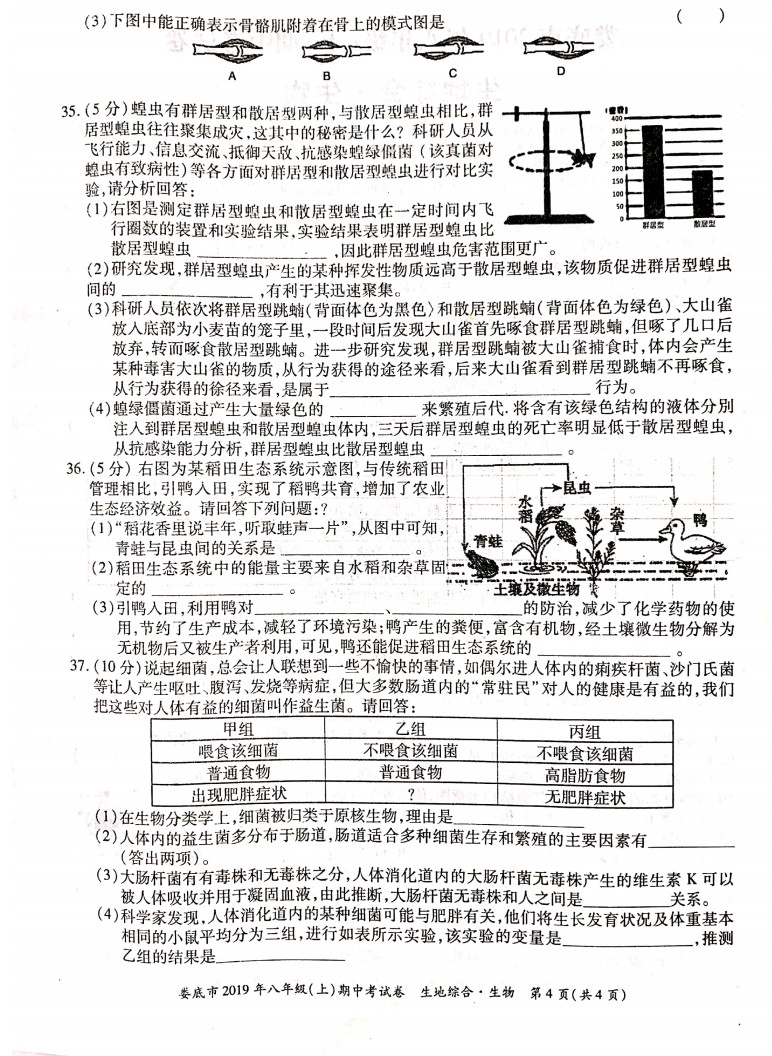 2019-2020湖南娄底八年级生物上册期中试题含答案（图片版）