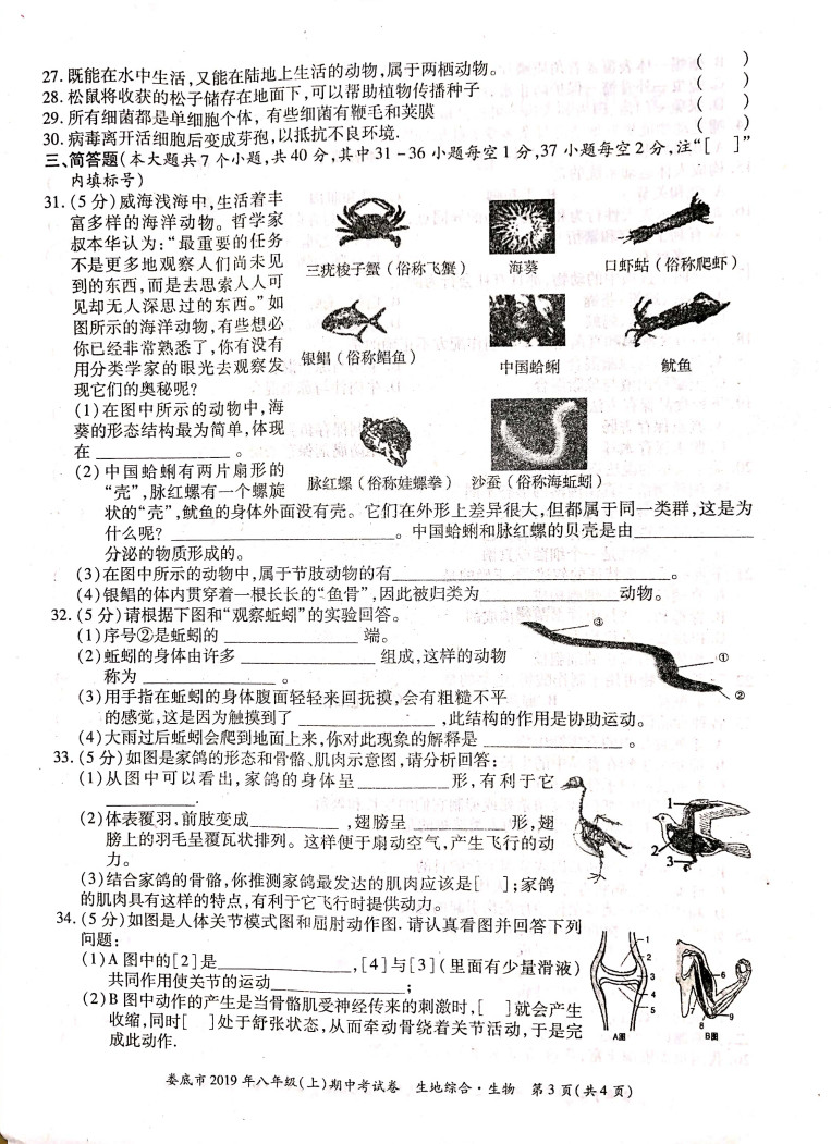 2019-2020湖南娄底八年级生物上册期中试题含答案（图片版）