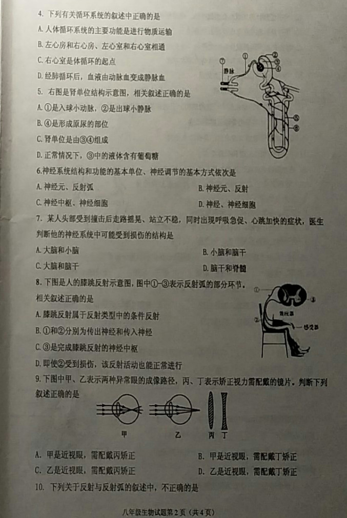 2019-2020江苏连云港八年级生物上册期中试题无答案（图片版）