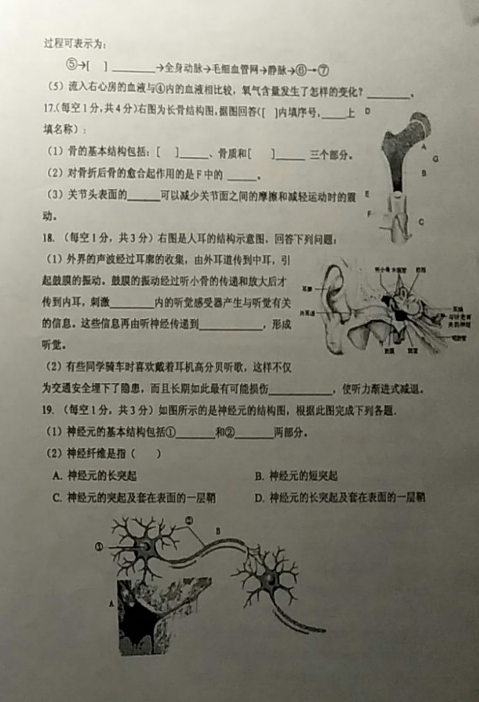 2019-2020江苏连云港八年级生物上册期中试题无答案（图片版）