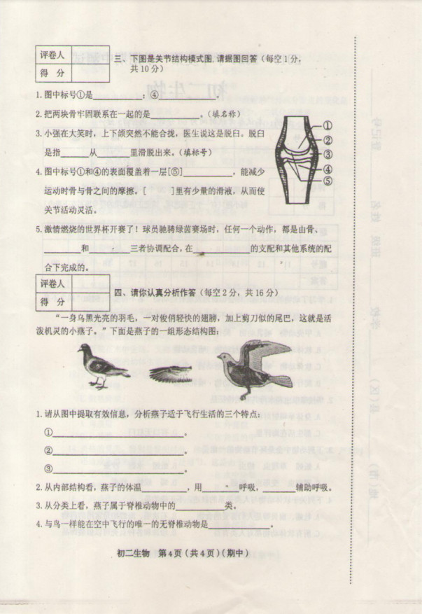 2019-2020山西侯马五中八年级上册生物期中试题无答案（图片版）