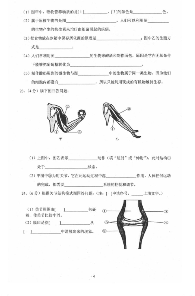 2019-2020辽宁阜新市八年级生物上册期中试题含答案