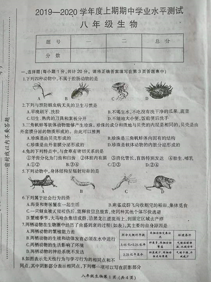 2019-2020河南漯河八年级生物上册期中试题含答案（图片版）