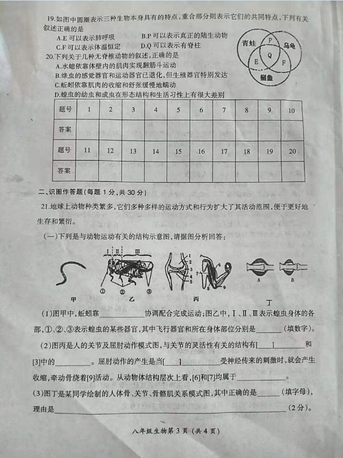 2019-2020河南漯河八年级生物上册期中试题含答案（图片版）