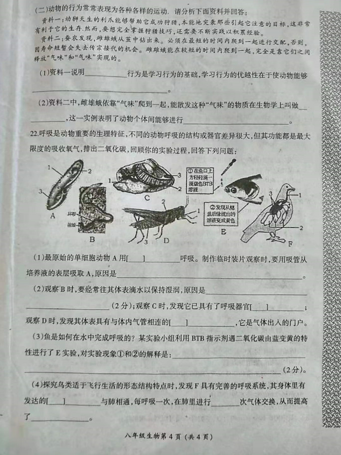 2019-2020河南漯河八年级生物上册期中试题含答案（图片版）