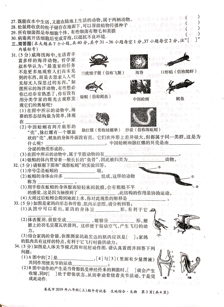 2019-2020湖南娄底市八年级生物上册期中试题含答案（图片版）