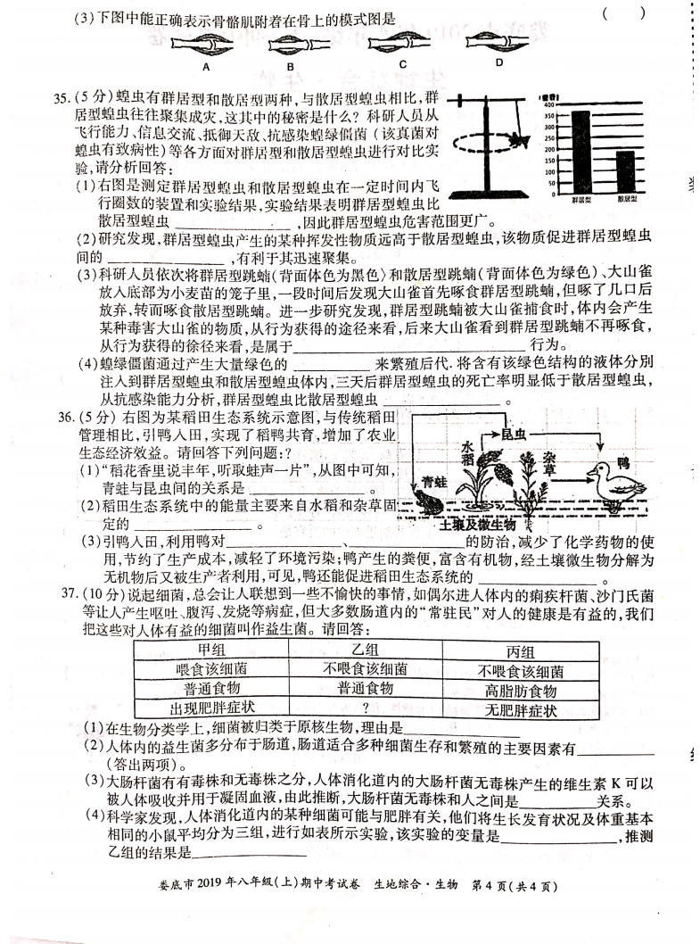 2019-2020湖南娄底市八年级生物上册期中试题含答案（图片版）