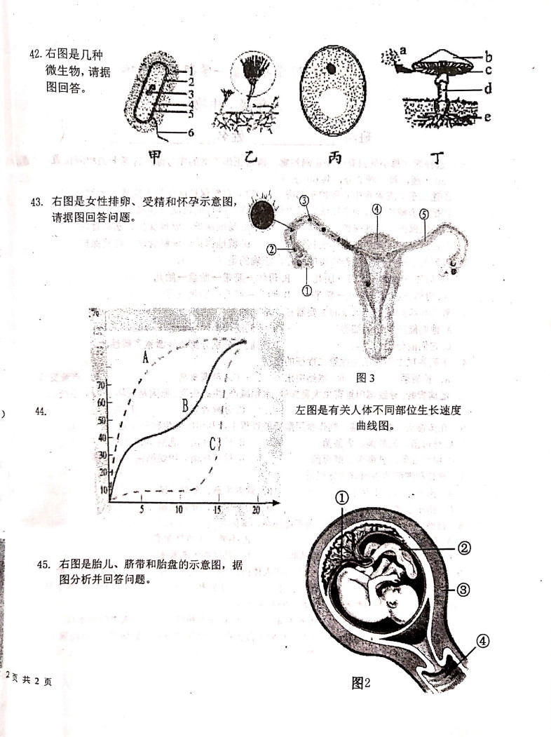 2019-2020河北廊坊八年级生物上册期中试题无答案（图片版）