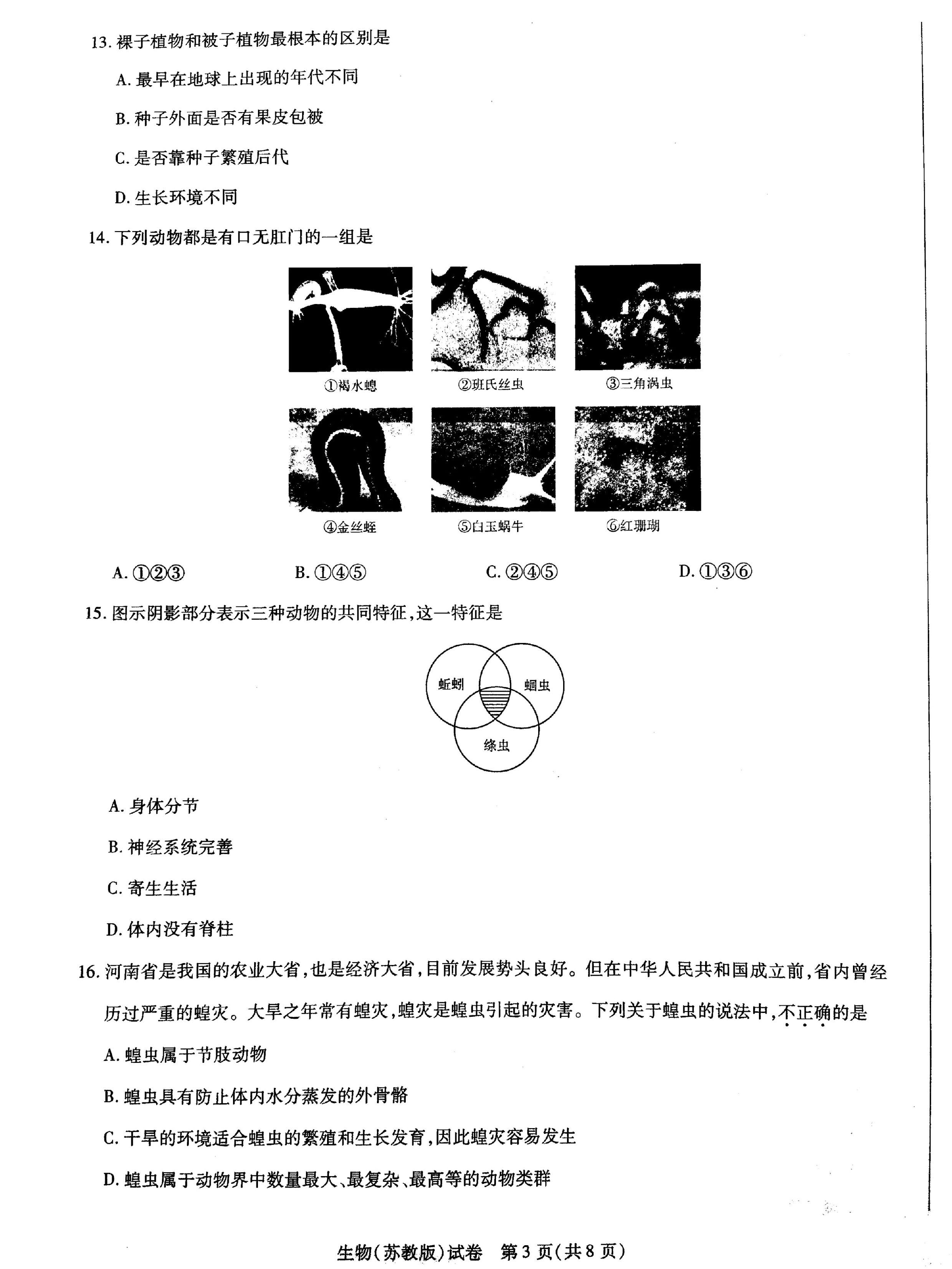 2019-2020洛阳市初中名校八年级生物上册期中试题无答案（图片版）