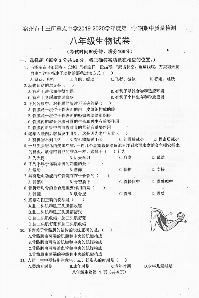2019-2020安徽宿州八年级生物上册期中试题无答案（图片版）