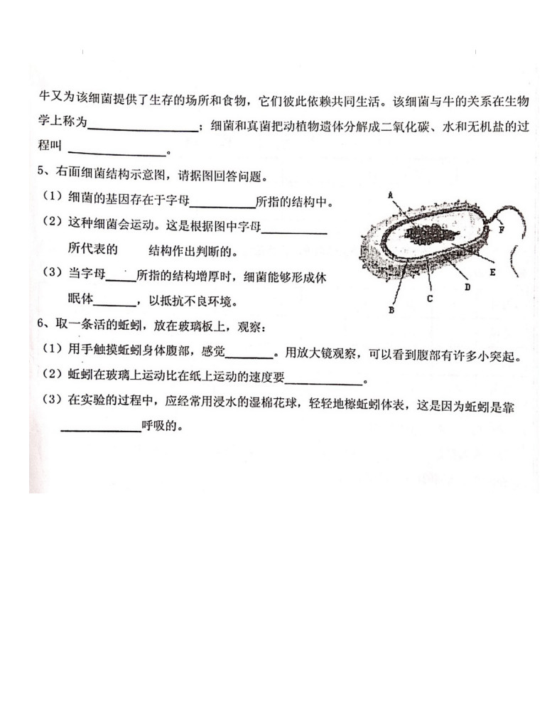 2019-2020安徽省铜陵市八年级生物上册期末试题无答案