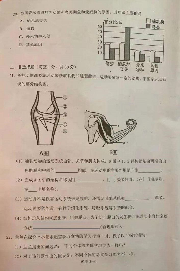 2019-2020重庆巫山县八年级生物上册期末试题（图片版）