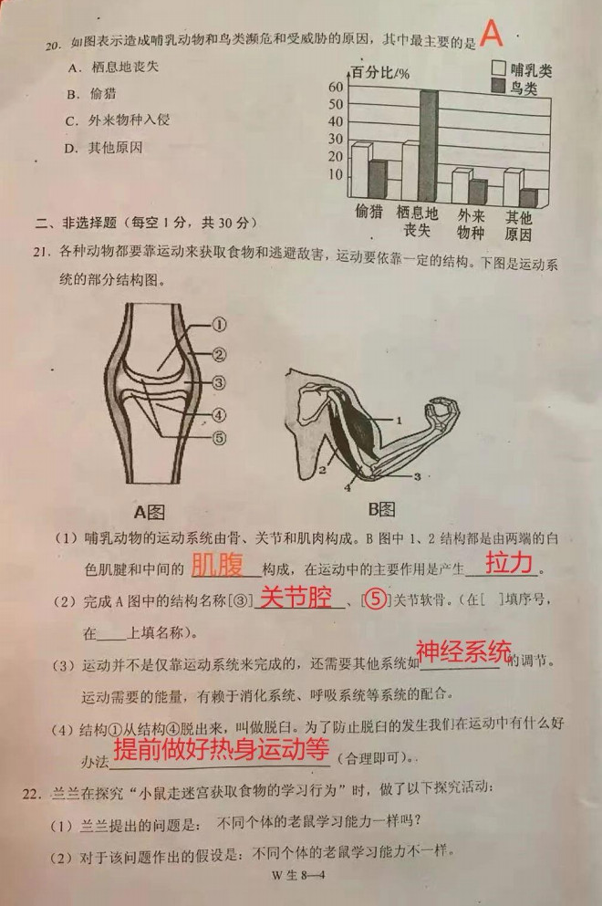2019-2020重庆巫山县八年级生物上册期末试题（图片版）