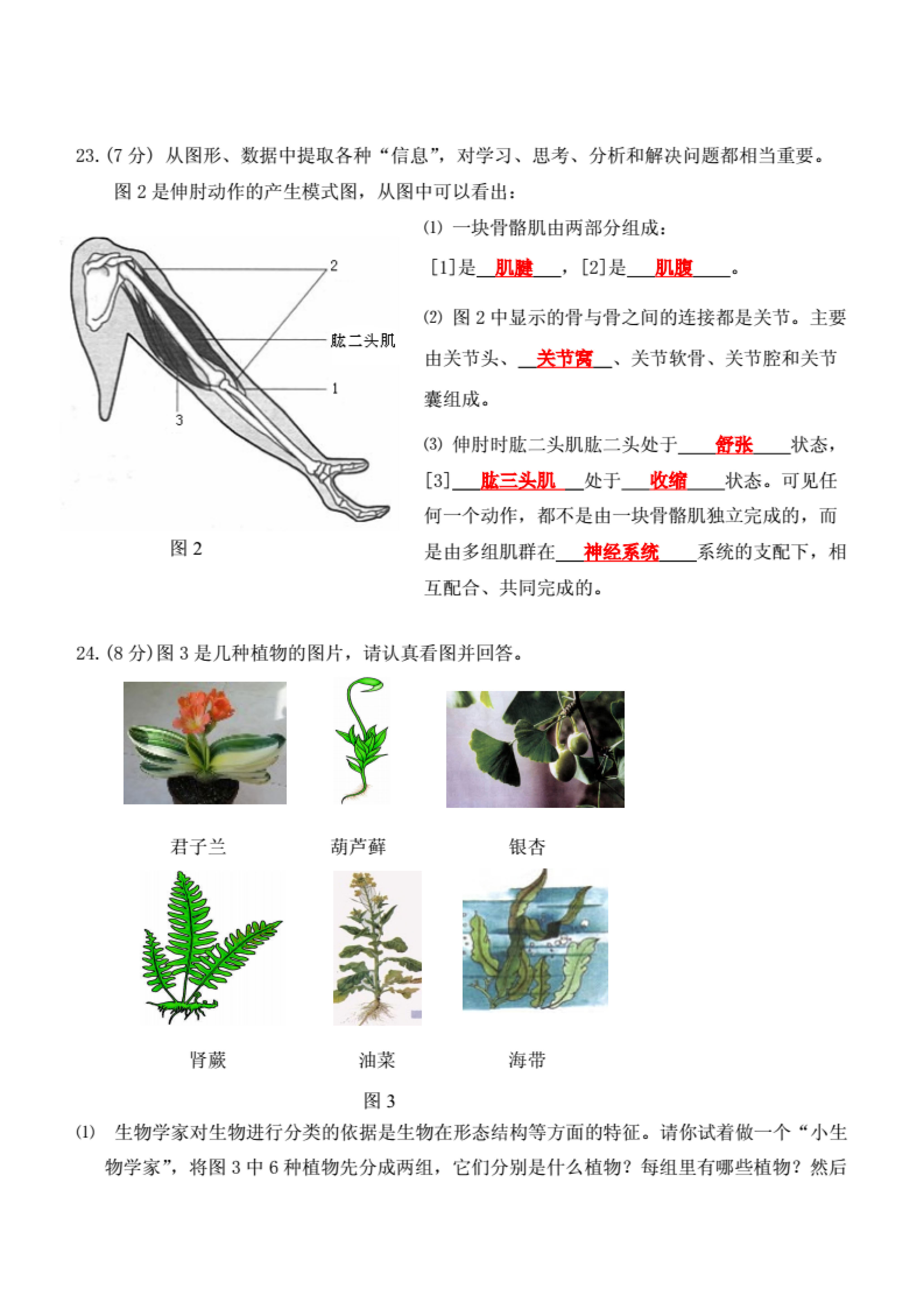 2019-2020贵州正安县八年级生物上册期末试题无答案