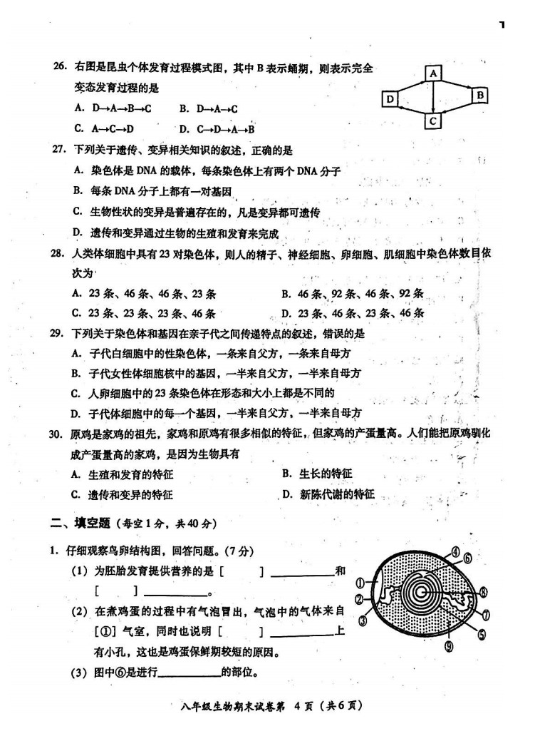 2019-2020广东揭阳八年级生物上册期末试题无答案