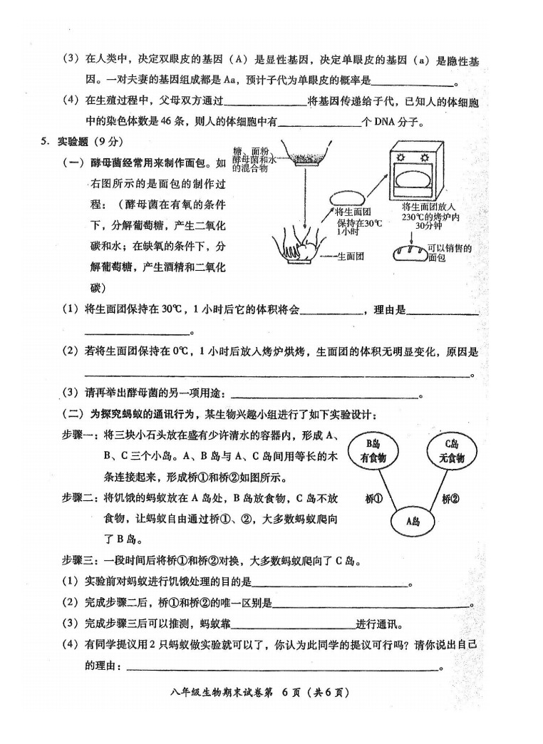 2019-2020广东揭阳八年级生物上册期末试题无答案