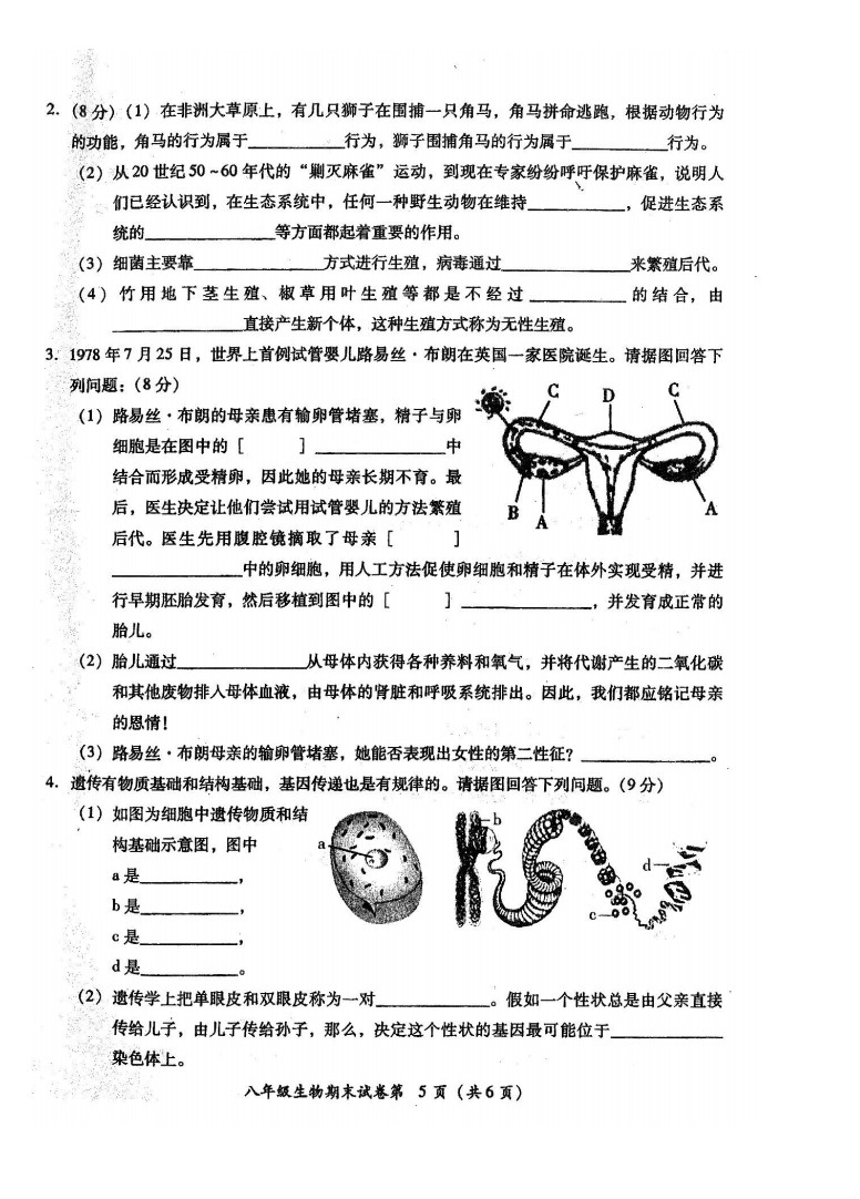 2019-2020广东揭阳八年级生物上册期末试题无答案