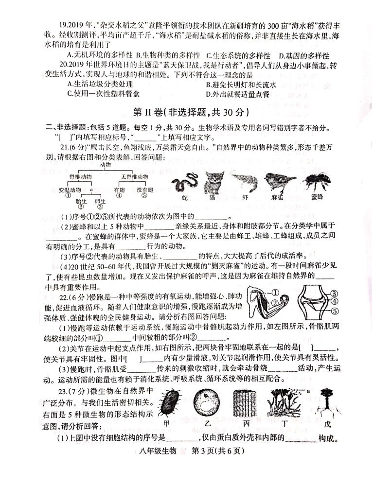 2019-2020河南焦作八年级生物上册期末试题